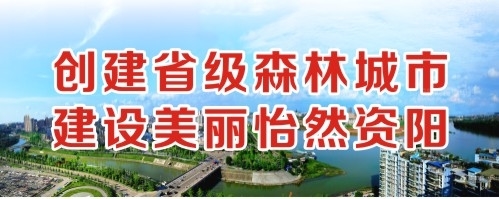 操骚逼日骚逼对白视频创建省级森林城市 建设美丽怡然资阳